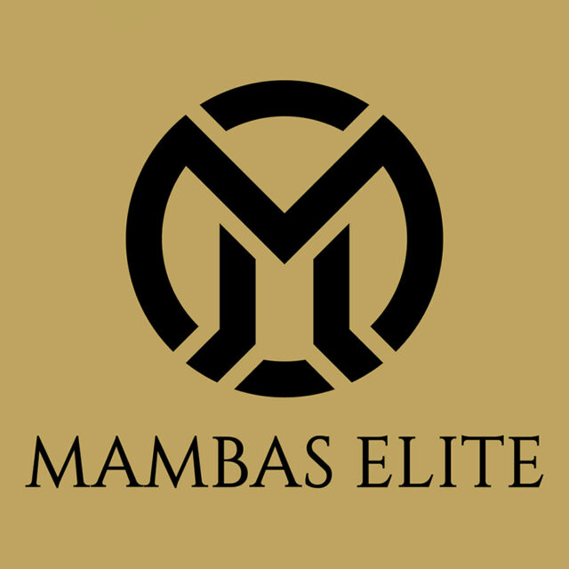 https://www.mambaselite.com/wp-content/uploads/2024/01/mambas-640x640.jpg